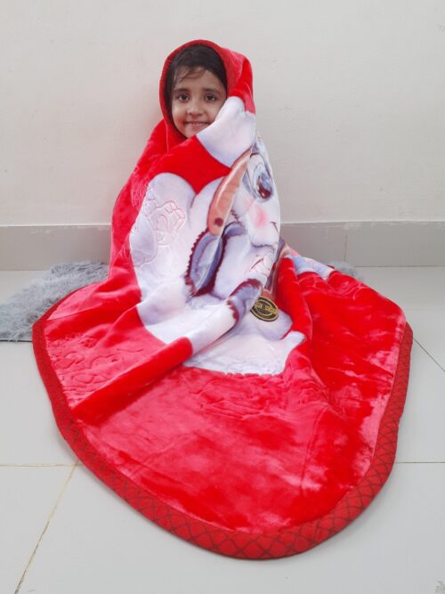 Products for Newborn Double Blanket Animal Cartoon