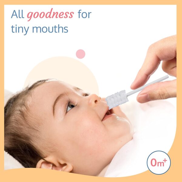 Oral Care Disposable Mouth Swabs